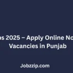 FBR Jobs 2025 Apply Online Now Latest Vacancies in Punjab