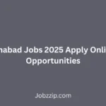 PSW Islamabad Jobs 2025 Apply Online Career Opportunities