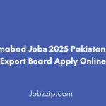 PSEB Islamabad Jobs 2025 Pakistan Software Export Board Apply Online